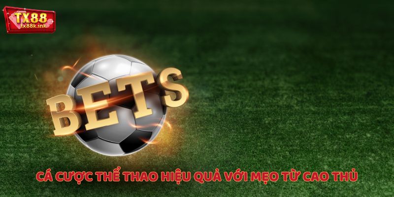 Cá cược hiệu quả với mẹo từ cao thủ