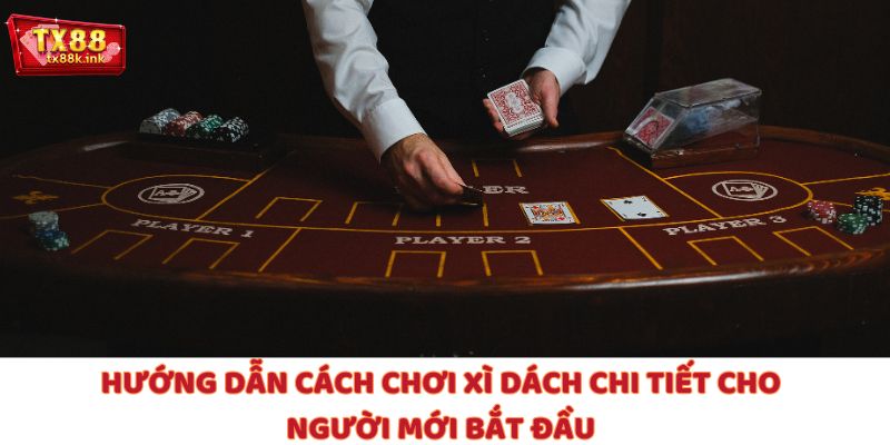 Hướng Dẫn Cách Chơi Xì Dách Chi Tiết Cho Người Mới Bắt Đầu