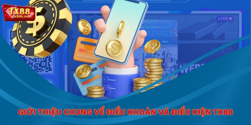 Giới thiệu chung về điều khoản và điều kiện