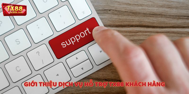 Giới thiệu về dịch vụ hỗ trợ TX88 khách hàng